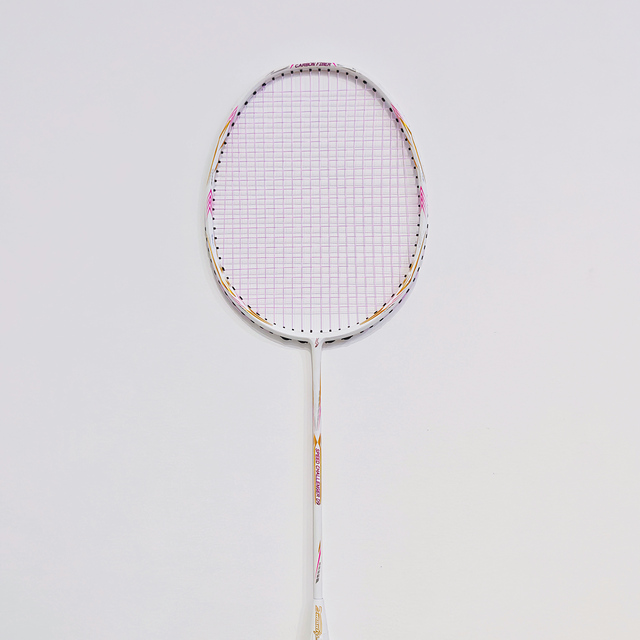 Beginner Carbon Aluminum Badminton Racket Lightweight Durable for Family Outdoor Play