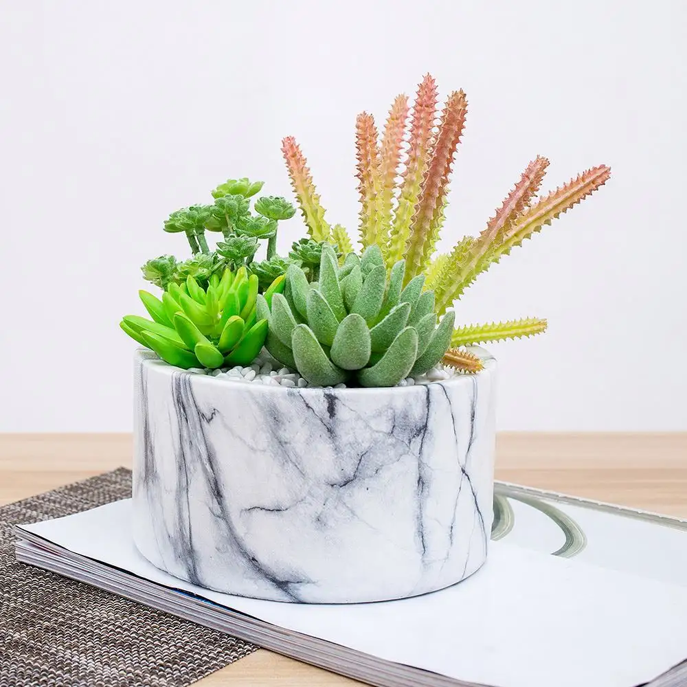 Assortiment de plantes succulentes et artificielles, ensemble de 4 pièces, fausses plantes en pot blanc, décoration, sexy