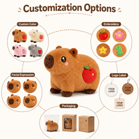 Peluche personnalisée Capybara, jouet en peluche doux, création à partir d'un dessin, faible MOQ, certifié ASTM CPC, DDP