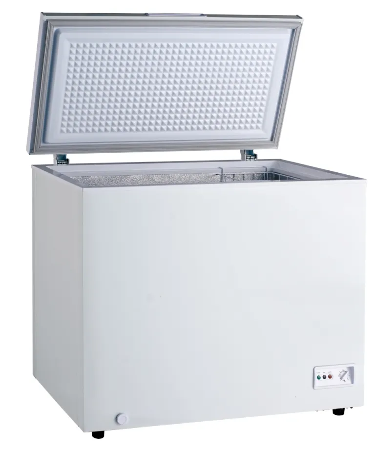 Congelatore orizzontale XF302/280L/10 Cu.Ft congelatore orizzontale congelatore solido