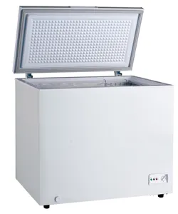 Congélateur de poitrine, livraison gratuite, XF302/280L/10 Cu.Ft, robuste, pour porte