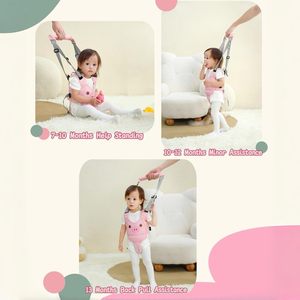 Meilleur nouveau modèle de trotteur pour bébé - Product Image 4