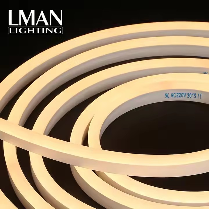 High Quality IP65 Waterproof PVC LED Neon Flex Lights Strips SMD2835 LED Rope Light Customized Outdoor For Holiday Decorations · image 6