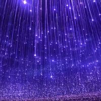 Lumière d'arbre à fibres optiques LED imperméable IP65 pour extérieur, Noël, Avatar, paysage coloré, lampe d'arbre