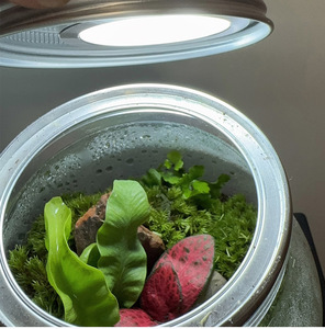 <span class=keywords><strong>Led</strong></span> Spotlight với chuyển đổi trong nhà mini siêu mỏng 5V USB 3m bề mặt dính được gắn dưới tủ Chiếu Sáng Đèn hiển thị - Product Image 5