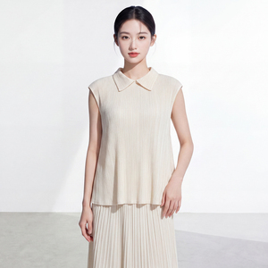Direttamente dalla Fabbrica: Vendita all'Ingrosso di T-Shirt da Donna, Top Professionale con Colletto a Polo, Manica Corta, Blusa Plissettata Miyake in Tinta Unita - Product Image 3