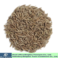 Biji Jintan Premium Cina Grosir 25kg/karung Dari Shandong