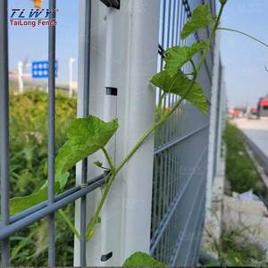 Tlwy באיכות גבוהה עיצוב מותאם אישית 868 656 מוט רשת רשת תיל מרותך <span class=keywords><strong>3ft</strong></span> לוח גידור עבור gerרבים - Product Image 3