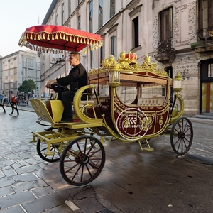 Calèche royale électrique de luxe avec structure en acier pour mariages, visites touristiques et cadeaux - Product Image 4