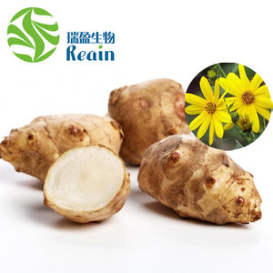 Producent van hoogwaardige halal voedingsvezel zoetstof voor vaste dranken, inuline uit de wortel van de Jerusalem artichoke, 95% inuline - Product Image 2