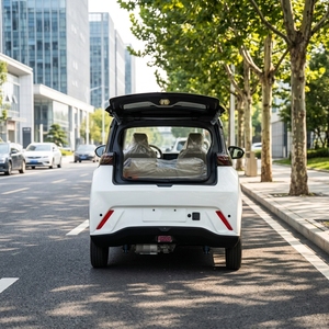 Auto Elettrica a Quattro Ruote Motrici YS a Quattro Posti, Nuova Energia, la <span class=keywords><strong>Più</strong></span> Bella e Popolare - Product Image 2