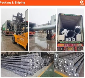 Hot bán ánh sáng đường phố cực cao mast đèn cho mini 3m 40ft mạ kẽm nhôm vườn bán Sử dụng <span class=keywords><strong>LED</strong></span> trang trí bãi đậu xe - Product Image 5