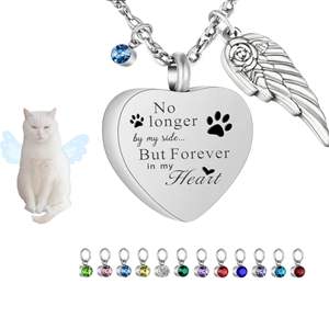 Collier urne <span class=keywords><strong>en</strong></span> forme de cœur pour cendres d'animaux de compagnie, bijou commémoratif avec pierre de naissance pour chien et chat - Product Image 1