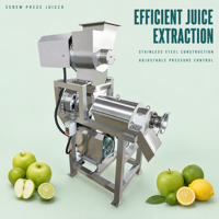 Commerciële automatische spiraalpersmotor 220V/380V hoge productiviteit fruit- en groentesapproductie voor fruitverwerkingsbedrijven