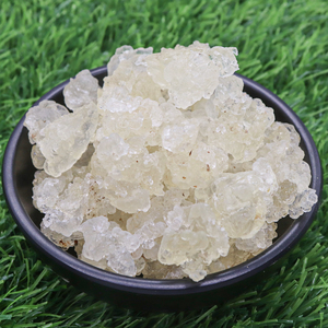 Il nido dell'uccello bianco, la rondine della neve nutre e nutre il viso - Product Image 3