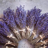 Bunga Berkualitas Tinggi 80g/bundel Buket Kustom Bunga Lavender Kering Biru untuk Dekorasi Rumah/Pernikahan
