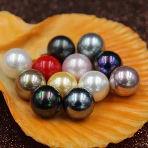 Large supply of Nanyang deep sea shell pearl color half hole shell pearl diy jewelry accessories wholesale beads