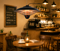 Chauffe-soleil infrarouge électrique suspendu à télécommande 2100W, type parapluie, en acier inoxydable, pour terrasse, restaurant, café, avec éclairage – Meilleures ventes