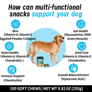 Suplemen Kunyah Lembut untuk Kesehatan Sendi Anjing Peliharaan Merek Pribadi, Nutrisi Vitamin, Dukungan Imunitas, Formula Alami, Suplemen Hewan Peliharaan - Product Image 3