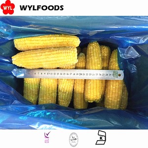 Frozen <strong>Corn</strong> of Frozen Sweet <strong>Corn</strong> Kernel for Hot Sales - Product Image 5