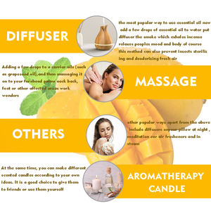 Hersteller <span class=keywords><strong>Mango</strong></span>-Duftöl für die Kerzen herstellung Bulk Fragrance <span class=keywords><strong>Mango</strong></span> <span class=keywords><strong>Oil</strong></span> - Product Image 4
