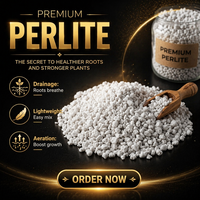 Perlite blanche de qualité horticole, agrégat léger pour l'amélioration du sol de jardinage et support de culture