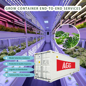 GoodGrowing Caja de Cultivo Inteligente para Hongos, para la Cultivo de 40 Sacos de Cultivo <span class=keywords><strong>en</strong></span> Contenedores de 40 pies, <span class=keywords><strong>Precio</strong></span> de Granja <span class=keywords><strong>en</strong></span> Contenedor de 40 pies - Product Image 5