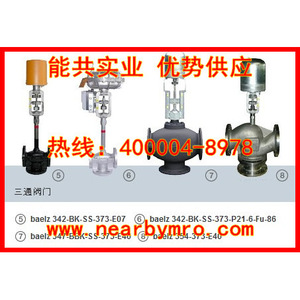Válvula de 3 Vías Baelz 342-BK-SS-373-E07, Control Eléctrico, Alta Temperatura, CA 220 V, Aplicación General - Product Image 2
