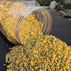 Polvo de Polen de Colza Orgánico 100% Natural a Granel - Suplemento de Alta Calidad de Grado Alimenticio en Bolsa para la Salud y la Nutrición Diaria - Product Image 2