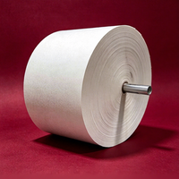 Rouleau de papier couché PE imprimé flexo 6 couleurs, recyclable et jetable, personnalisé, carton ivoire C1S pour gobelets, bols, boîtes, cartons