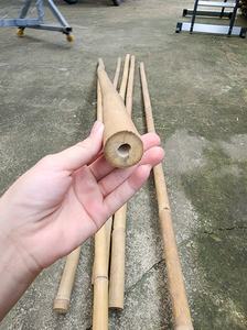 เสาไม้ไผ่สำหรับการเกษตร เสาต้นอ้อยโทนกิ้น เสาสำหรับสวนองุ่น  วัสดุยึดต้นไม้ที่เป็นมิตรกับสิ่งแวดล้อม ขายส่งจากเวียดนาม - Product Image 4