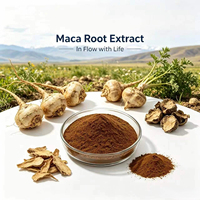 Approvisionnement direct usine : Extrait de racine d'herbe noire 10:1 20:1, Macamides 0,6% 1%, testé HPLC, qualité alimentaire, supplément en vrac, vente en gros