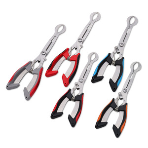 Stainless Steel Fruit Nucleus Extractor <b>Pliers</b> 5 Piece <b>Set</b> For Ice Candy Stick Making Home Use - Product Image 2