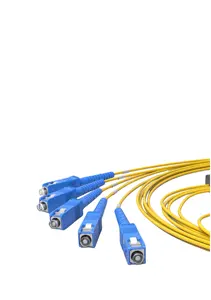 FTTH الألياف المفردة 1x4 الألياف البصرية PLC الخائن كاسيت مع ضفيرة SC/APC OEM/ODM