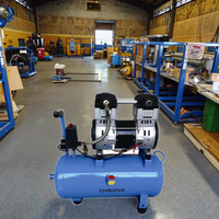 Compresseur d'air sans huile spécial, type piston, -40 degrés Celsius, basse température, 12V AC, moteur refroidi par air, roulement central