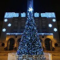 Sapin de Noël géant fait main de 7m, 8m, 10m avec éclairage LED pour décoration extérieure de centres commerciaux, parcs et hôtels