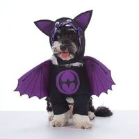 Costume d'Halloween pour animaux de compagnie en gros, pirate, chevalier, diable, cape, vampire, squelette, sorcière, costumes de Noël pour chien et chat