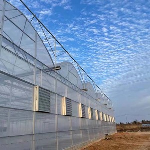 Kommerzielles Hydroponisches Gewächshaus mit Sainpoly PEP-Folie |   Erschwingliche Einlagige Struktur für Tomaten- und Landwirtschaft - Product Image 3