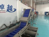 Continue Chinese Yam Koriander Koriander Romaine Sla Gemengde Salade Groenten Post-was- en ontwateringsmachine Luchtdroogmachine