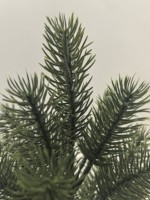 Décoration intérieure moderne et élégante Arbre artificiel vert luxuriant avec des feuilles en plastique Plante d'intérieur unique