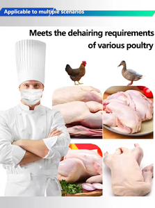 Plumeuse à tambour haute vitesse pour volailles avec moteur et roulement / Plumeuse à plumes pour cailles et pigeons facile à utiliser - Product Image 2