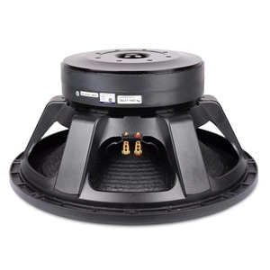 Subwoofer Professionale da 21 Pollici 2500W RMS Passivo in Metallo per PA, Bobina Vocale da 150mm, Doppio Magnete da 300mm, per Stadi, Concerti e Palcoscenici - Product Image 6