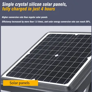 أضواء حدائق تعمل بالطاقة الشمسية من الألومنيوم مع إمكانية التحكم بها وضمان 3 سنوات أضواء حدائق تعمل بالطاقة الشمسية مضادة للماء بمعيار IP65 للأماكن الخارجية بقدرة 30 وات 50 وات