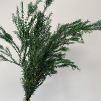 Bunga Melaleuca Bracteata Segar Bernuansa Musim Gugur, Bahan Baku Ramah Lingkungan Berkualitas Tinggi dan Tahan Lama untuk Hari Valentine, Rumah, dan Kantor