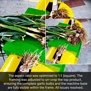 Machine à couper les feuilles d'oignon motorisée en acier certifiée CE pour l'agriculture, haute efficacité et faible consommation - Product Image 1