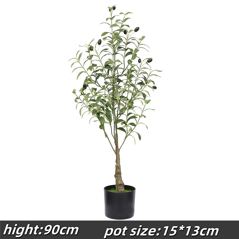 90cm olive tree