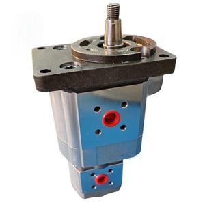 SNW2NN/017RN06SMNNE6E5NNNN/NNNNN SNW SNW2 SNP2 Hydraulische Zahnradpumpe SNP2NN/017RN03CAP3E6E5NNNN/NNNNN - Product Image 5