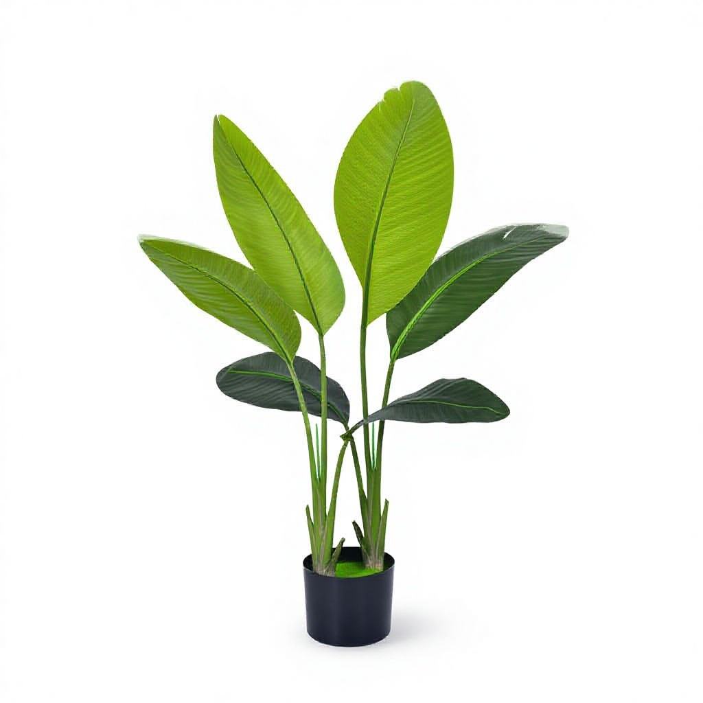 90cm traveler banana (6 leaves) green
