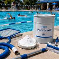 CY0918K Faible MOQ Nouvelle Technologie Stabilisateur d'acide cyanurique Assurance Commerciale Nouvelles Emballages