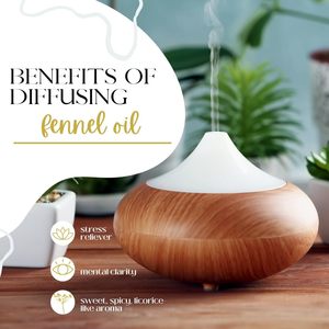 Huile essentielle de <span class=keywords><strong>fenouil</strong></span> doux 100% pure de qualité thérapeutique avec des <span class=keywords><strong>bienfaits</strong></span> anti-âge, extrait au CO2 à partir de graines - Product Image 4